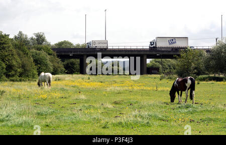 Sezione in alzata dell'autostrada M1 nei pressi di Lilbourne, Northamptonshire, England, Regno Unito Foto Stock