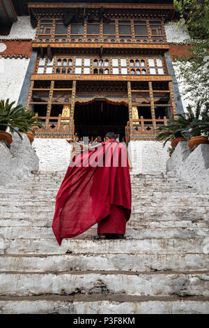 La bellezza di Punakha Dzong è incompleta senza i suoi monaci, drapped in abito rosso. Foto Stock