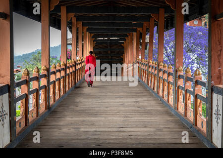 La bellezza di Punakha Dzong è incompleta senza i suoi monaci, drapped in abito rosso. Foto Stock
