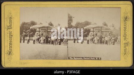 306 L'Esplanade, Central Park, N.Y, da Robert N. Dennis raccolta di vista stereoscopica 2 Foto Stock