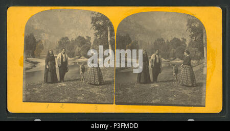 . Turisti e un daini domestici. Copertura: 1870?-1885?. Fonte Imprint: 1870?-1885?. Elemento digitale pubblicata 8-31-2005; aggiornato 2-12-2009. 330 turisti e un daini domestici, da Robert N. Dennis raccolta di vista stereoscopica Foto Stock