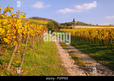 Weinberge bei Heppenheim, Bergstrasse, Odenwald Foto Stock