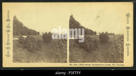 . Studio degli alberi, Humphrey's battuta, n. Conway. Titolo alternativo: bianco paesaggio di montagna. Creato: ca. 1865. Copertura: 1859?-1895?. Elemento digitale pubblicata 3-9-2006; aggiornato 6-25-2010. 331 studio degli alberi, Humphrey's battuta, n. Conway, da George S. Bryant &AMP; Co. Foto Stock