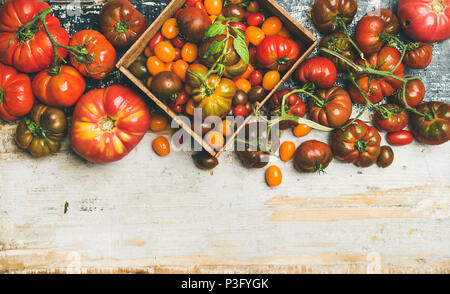 Colorful ripe pomodori varietà Foto Stock