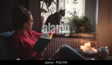 Donna di toccare il suo gatto di casa sul davanzale della finestra Foto Stock