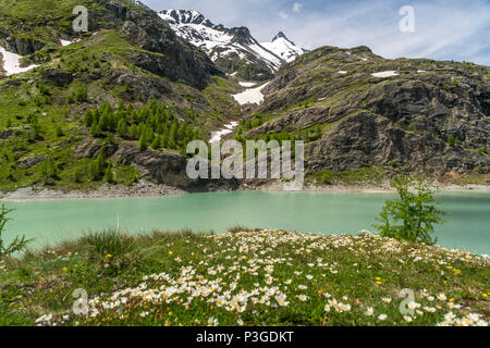 Stausee Margaritze und Bergkette Glocknergruppe, Hohe Tauern, Kärnten, Österreich | Margaritze serbatoio e gruppo Glockner mountain range, alta T Foto Stock