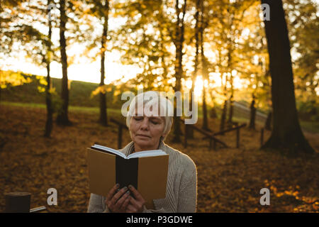 Senior donna libro di lettura nel parco Foto Stock