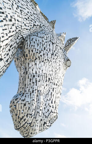 La testa di uno dei Kelpies sculture nel parco di elica, Falkirk Foto Stock