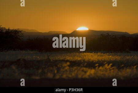 Tramonto africano. Crepuscolo in Namibia Foto Stock