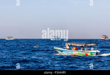 Tourist whale watching barche in mare ricco di turisti in cerca di Blue balene e delfini off Weligama, nel sud dello Sri Lanka in una giornata di sole Foto Stock