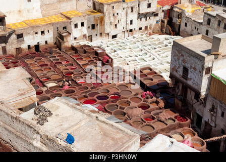 A piedi nudi i lavoratori in pelle o i conciatori, elaborazione le pelli di animali in tini di colorante alla conceria Fes el Bali. Marzo 28, 2008 - Fes, Marocco Foto Stock