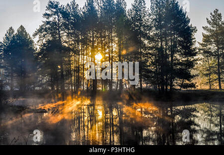Raggi di sole cast attraverso gli alberi la mattina presto su di un fiume Foto Stock