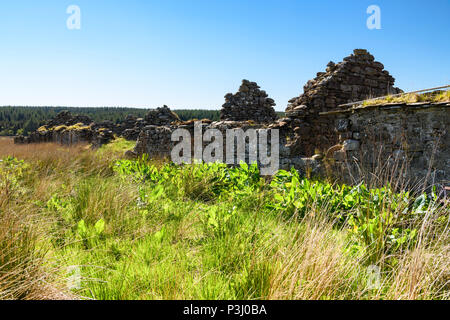 Abbandonate e crofts vicino Broubster in Caithness in Scozia. 29 Maggio 2018 Foto Stock