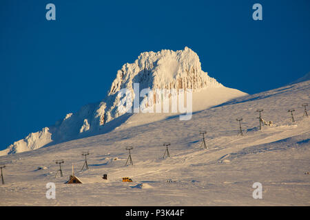 La Mississippi testa sul cofano Mt da Timberline, Mt Hood National Forest, Oregon Foto Stock