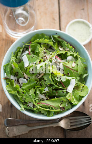 La quinoa & baby insalata di cavolo con semi di girasole, di cocco grattugiato, misti di quinoa e menta dressing di yogurt Foto Stock