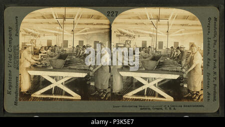 50 Macellazione Salmon--interno di un stabilimento di inscatolamento, Astoria, Oregon, USA, di Keystone View Company Foto Stock