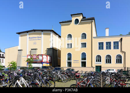 Salisburgo : birreria ristorante giardino della birra Augustiner Bräustübl Mülln in Austria, a Salisburgo Foto Stock