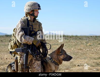 Pellicola originale titolo: MEGAN LEAVEY. Titolo inglese: MEGAN LEAVEY. Regista: GABRIELA COWPERTHWAITE. Anno: 2017. Stelle: KATE MARA. Credito: LD ENTERTAINMENT / Album Foto Stock