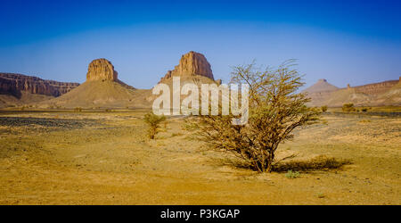 Il deserto marocchino vicino a Foum Zguid nel sud del Marocco Foto Stock