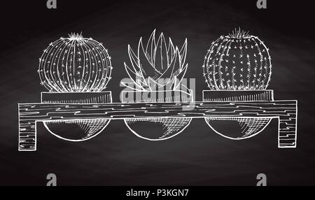 Schizzo tre piante succulente in vasi su un supporto di legno isolata sulla lavagna. Illustrazione Vettoriale. Illustrazione Vettoriale