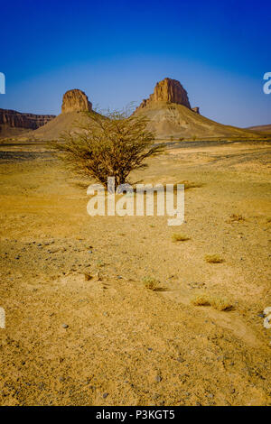 Il deserto marocchino vicino a Foum Zguid nel sud del Marocco Foto Stock