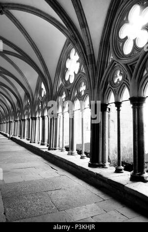 Fotografia in bianco e nero di Salisbury con la cattedrale chiostri, pilastri in pietra a sinistra e a destra con una curva del tetto arcuato Foto Stock