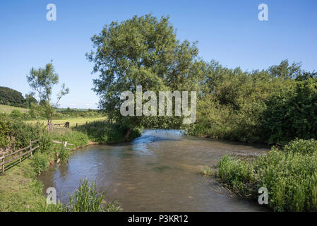 Il Fiume Windrush a Swinbrook, Oxfordshire Foto Stock