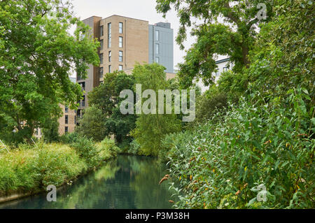 Il nuovo River att Resrvoir Ovest, vicino a Finsbury Park, Londra UK, con nuovi edifici di appartamenti in background Foto Stock