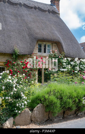 Cottage con tetto in paglia e rose rampicanti nel villaggio di Bledington, Gloucestershire, Inghilterra Foto Stock