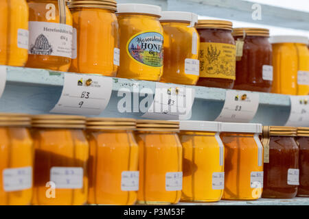 Barattoli di miele essendo giudicato a e spettacolo agricolo. Regno Unito Foto Stock