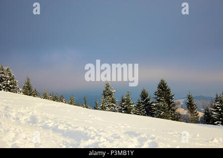 Bel paesaggio di Swiitzerland durante il periodo invernale Foto Stock