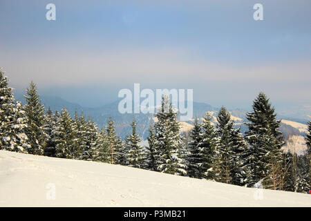 Bel paesaggio di Swiitzerland durante il periodo invernale Foto Stock