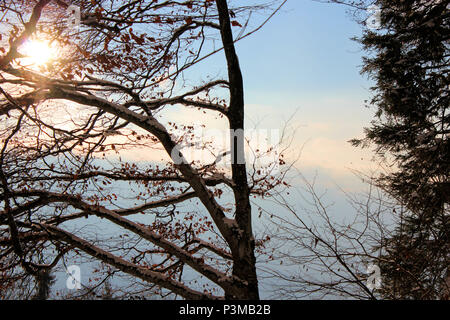 Bel paesaggio di Swiitzerland durante il periodo invernale Foto Stock