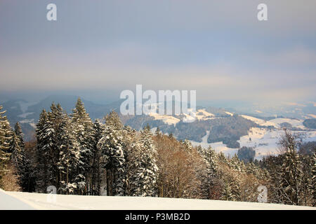 Bel paesaggio di Swiitzerland durante il periodo invernale Foto Stock