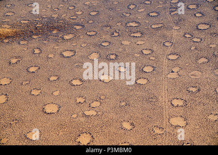 Antenna cerchi di fata area con le tracce degli animali nel paesaggio da turistico volo in elicottero sopra le dune e nei dintorni di Sossusvlei Namibia. Foto Stock