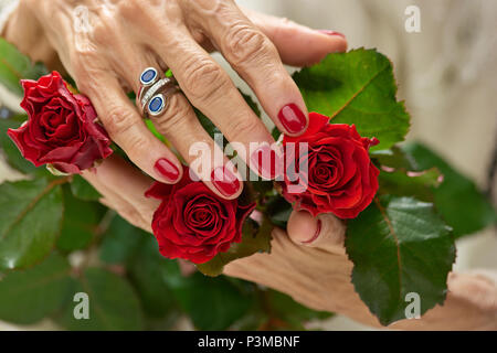 Old womans mano su di una rosa rossa. Foto Stock