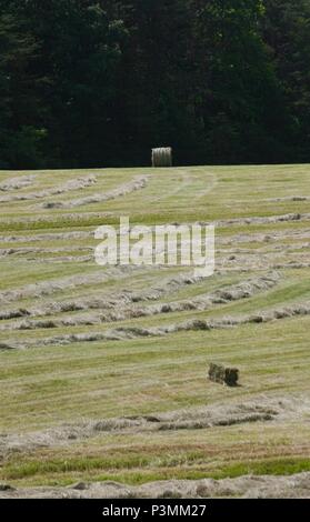 Come Preferisci il tuo balle di fieno? Di forma rotonda o rettangolare? Foto Stock