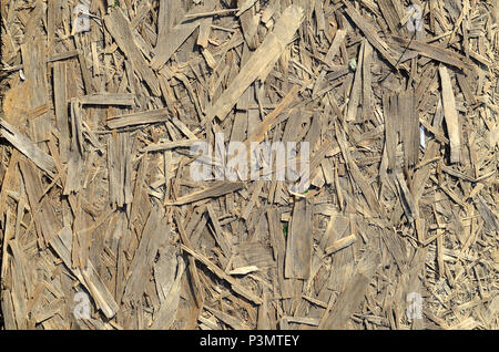 Vecchi pannelli OSB sono fatte di marrone da trucioli di legno levigato in uno sfondo di legno. Vista dall'alto di OSB di impiallacciatura di legno truciolato sfondo, stretto, superficie senza giunture Foto Stock