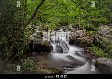 Il livello inferiore di Anna Ruby Falls, Bianco County, Georgia Foto Stock