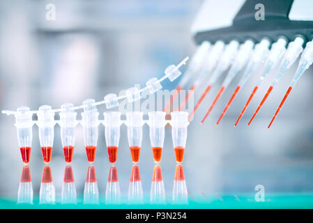 L'amplificazione del DNA il test e la miscela di reazione in multicanale pipetta automatica, biologia molecolare sfondo con lo spazio di testo Foto Stock