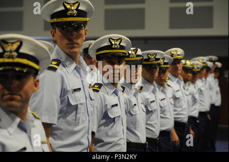 I membri dell'equipaggio dei guardacoste stella polare, un 399-piede polare-classe homeported rompighiaccio a Seattle, allineare in formazione durante un cambiamento di comando cerimonia al Coast Guard Base Seattle, 14 luglio 2016. Petty Officer 1. Classe Kevin Oakes, un elettricista di mate, Sottufficiali di terza classe Agustin Foguet, un danno controlman e marinaio Manon Mullen sono state riconosciute in giugno da parte di ADM. Paolo Zukunft, comandante, U.S. Coast Guard, per la loro rapidità di pensiero e di ingenuità in Riparazioni critiche hanno reso il 40-anno-vecchio coltello durante il funzionamento Deep Freeze 2016. Stati Uniti Coast Guard foto di Petty Offi Foto Stock