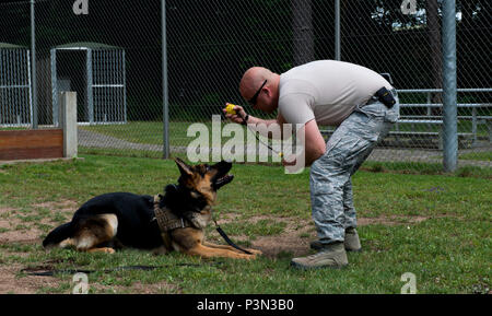 Il personale Sgt. Lancia Oakes, 86a forze di sicurezza militari squadrone cane da lavoro trainer supervisore, può contenere fino a sfera per il rogo, 86FS MWD in formazione, luglio 12, 2016 a Ramstein Air Base, Germania. Il rogo sono arrivati a Ramstein su Giugno 29 direttamente al di fuori della formazione e deve essere sottoposto ad una prova di 90 giorni di tempo per garantire che egli ha tutto ciò che serve per essere un MWD. (U.S. Air Force foto/Airman 1. Classe Tryphena Mayhugh) Foto Stock