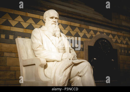 London, Regno Unito - Dicembre 2017. Charles Darwin statua nella sala principale del Museo di Storia Naturale di South Kensington. Foto Stock