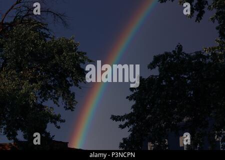 Un vivace arcobaleno dopo un forte temporale tra due grandi alberi in primavera Foto Stock