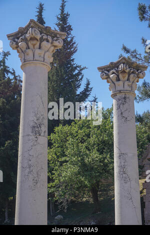 Kos, Grecia: Il corinzio tempio di Apollo a Asklepion sull isola del Mar Egeo di Kos. Foto Stock