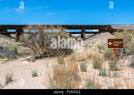 Nuovo Messico, San Antonio, Bosque del Apache National Wildlife Refuge, Canyon National Recreation Trail, sentiero sotto il traliccio ferroviario Foto Stock