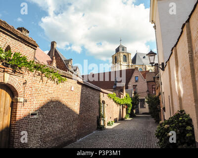 Stretta strada acciottolata che conduce alla chiesa beguiange nella grande beghinaggio di Mechelen, Belgio Foto Stock