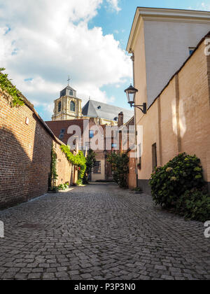 Stretta strada acciottolata che conduce alla chiesa beguiange nella grande beghinaggio di Mechelen, Belgio Foto Stock