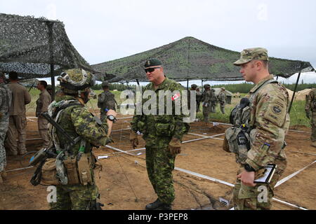 Esercito canadese Col. Martin Frank, il Vice Commander-Operations PER GLI STATI UNITI Esercito di Alaska, parla al magg. Chelsea Braybrook, commander, Bravo Company, 1° Battaglione, Princess Patricia canadese della fanteria leggera partecipano in #ArcticAnvil a Donnelly Area Formazione, Alaska Luglio 20. Foto Stock