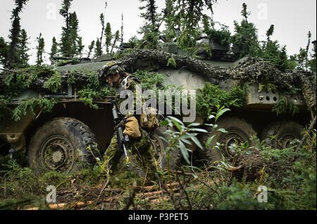 Esercito canadese Il Mag. Chelsea Anne Braybrook, comandante del bravo Company, 1° Battaglione, Principessa di Patricia luce canadese di fanteria, passeggiate passato il suo Coyote veicolo blindato in Donnelly Area Formazione vicino a Ft. Greely, Alaska, durante l'Artico incudine esercizio, Domenica, 24 luglio 2016. Arctic incudine è un giunto, multinazionale di esercizio che comprende le forze dalla USARAK del primo Stryker Brigade Combat Team, XXV divisione di fanteria e UATF, insieme con le forze dal 196th della brigata di fanteria congiunto del Pacific multinazionale funzionalità di disponibilità, l'Iowa Guardia Nazionale 133rd del reggimento di fanteria e il 1 ° Battali Foto Stock